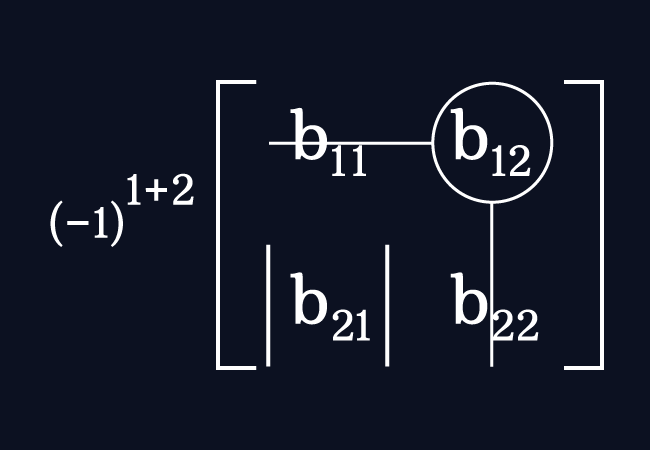 cofactor of entry at first row second column entry