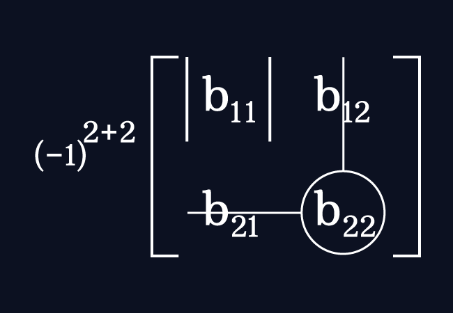 cofactor of entry in second row second column entry