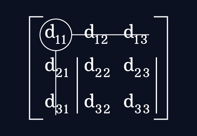 minor of first row first column entry