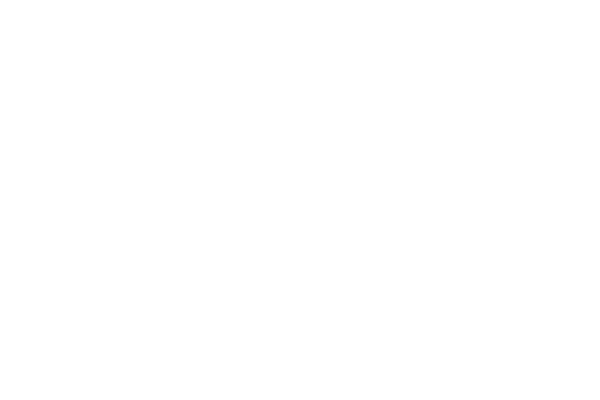 quadratic equation with solution