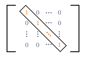 identity matrix